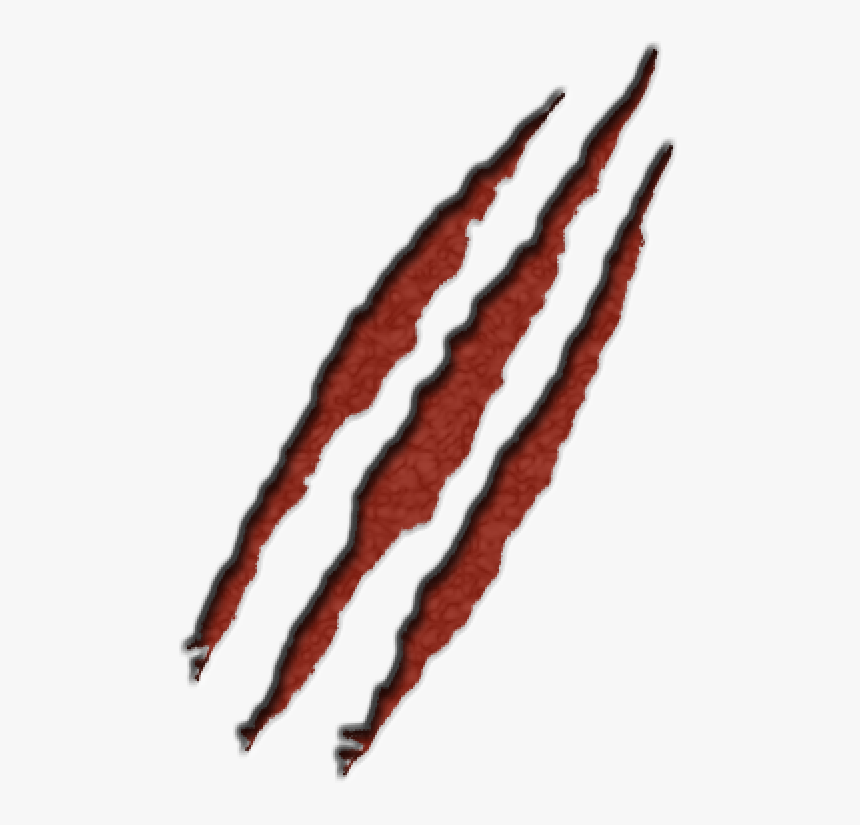 Scratches Png Free Download, Transparent Png, Free Download