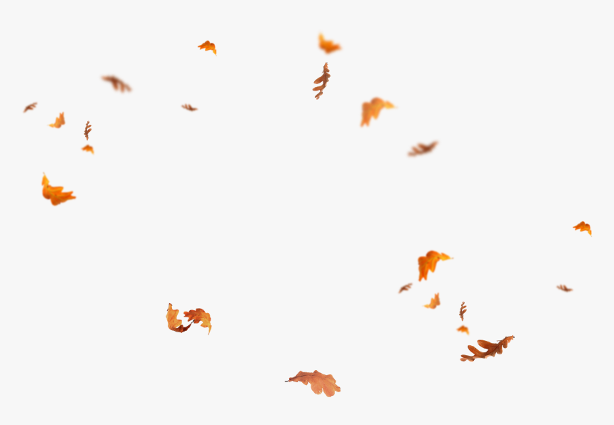 Autumn Pngs, Transparent Png, Free Download