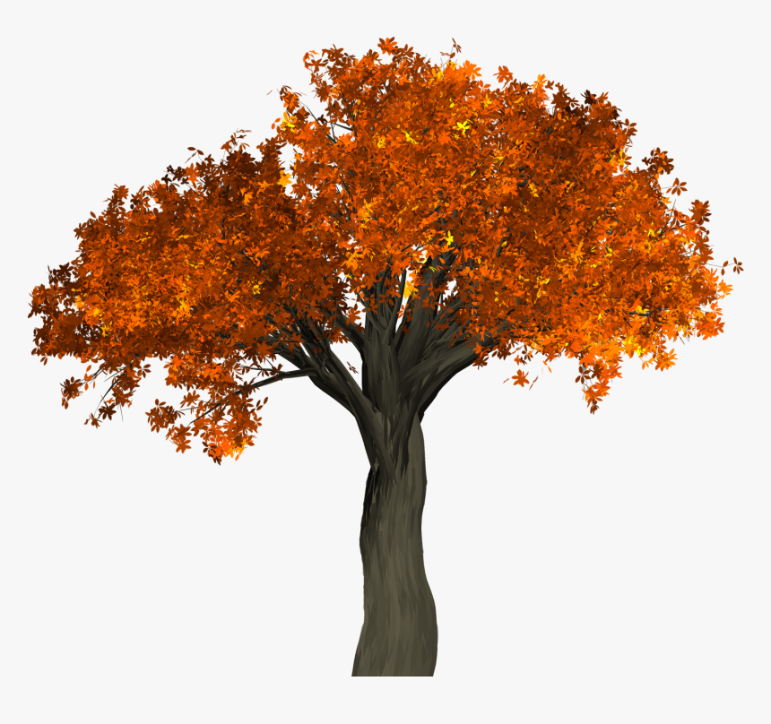 Autumn Tree, HD Png Download, Free Download