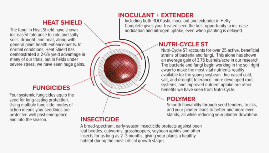 All Components Of Hefty Complete Soybeans Described, HD Png Download, Free Download