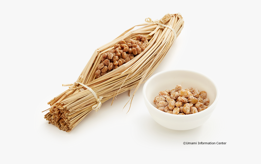 Soybeans Png, Transparent Png, Free Download