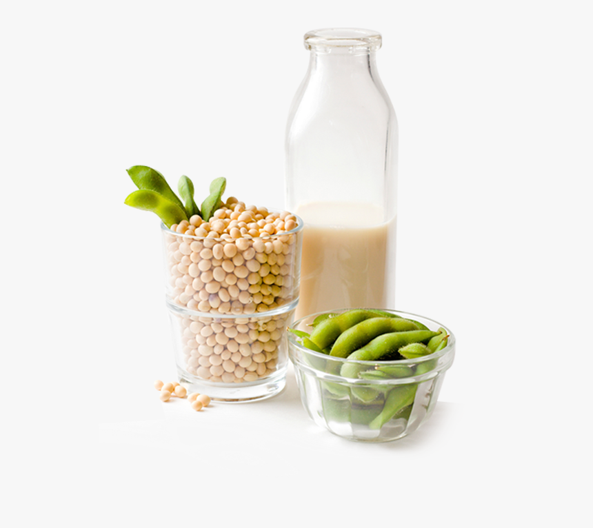 Soybeans Png, Transparent Png, Free Download