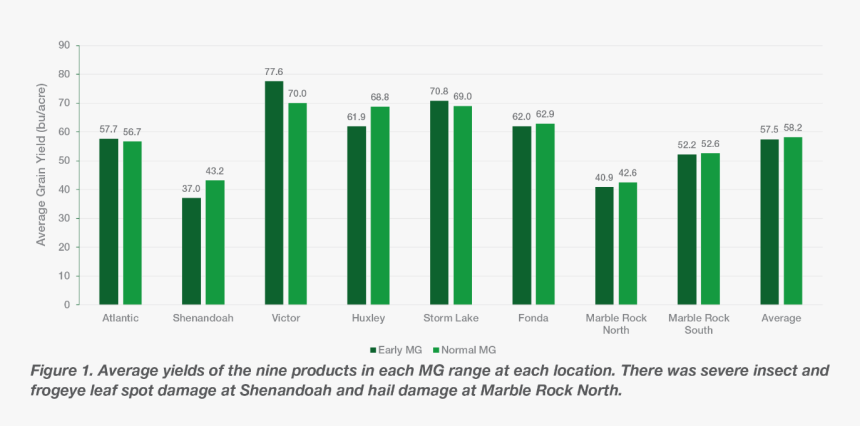 Soybeans Png, Transparent Png, Free Download