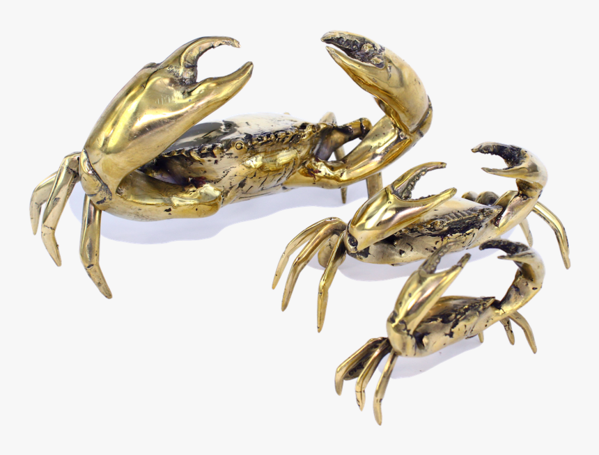 Sea Crab - Gold Crab Coco Republic, HD Png Download, Free Download