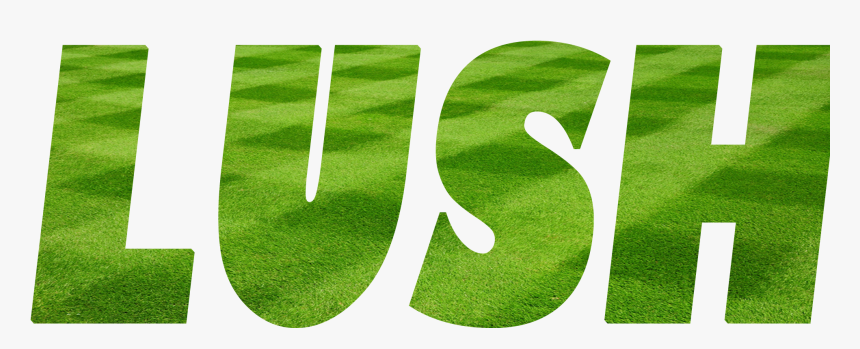 Lawn Care Services Gallatin, Hendersonville, Lebanon - Lawn, HD Png Download, Free Download