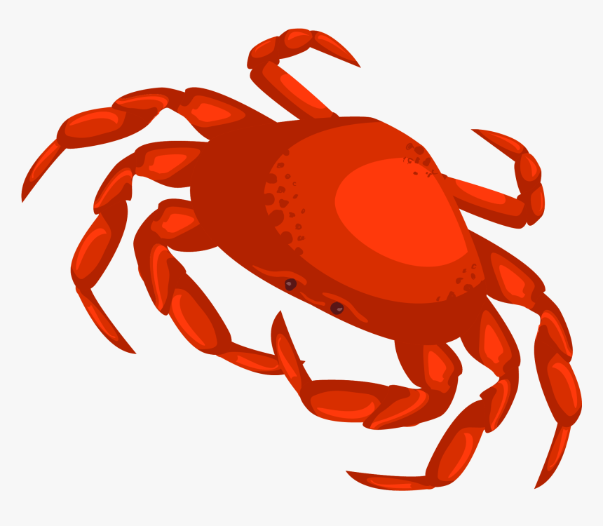 Transparent Horseshoe Crab Clipart - Crab Vector Png, Png Download, Free Download