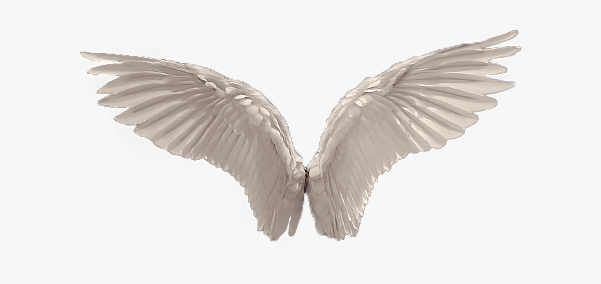 White Wings Png - Realistic Angel Wings Png, Transparent Png, Free Download