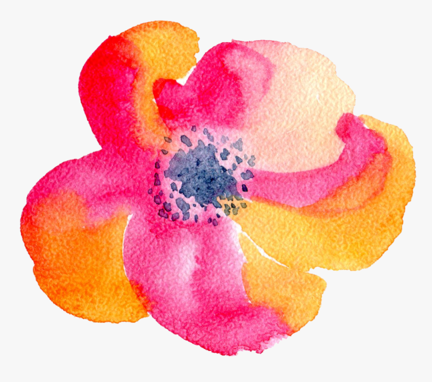 Floral Design, HD Png Download, Free Download