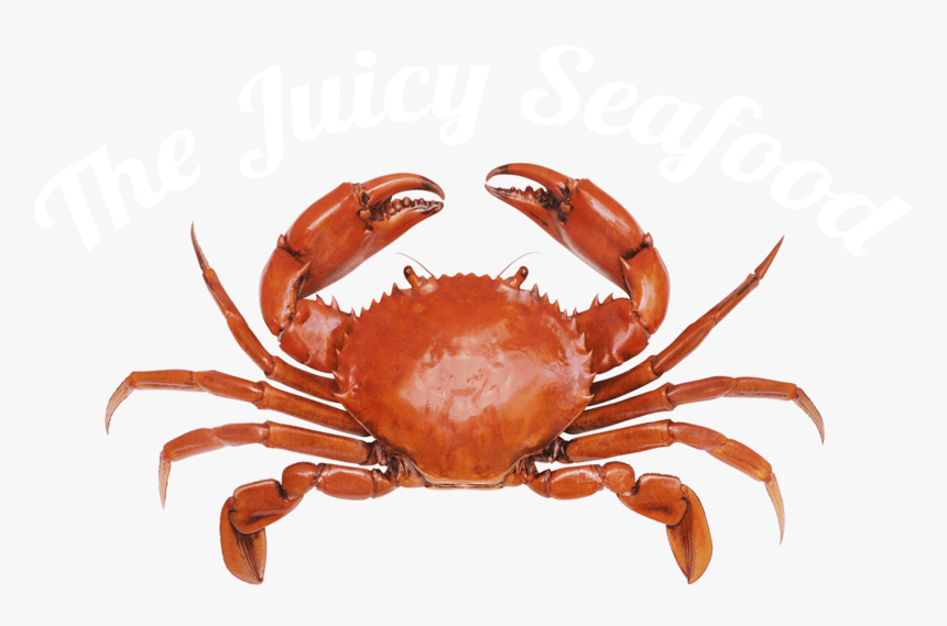 Crab Png Transparent Images - Crab With White Background, Png Download, Free Download