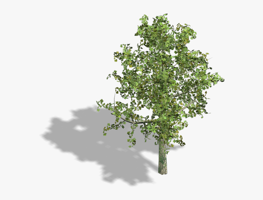 Preview - Png Silhouettes Axonometric Trees, Transparent Png, Free Download