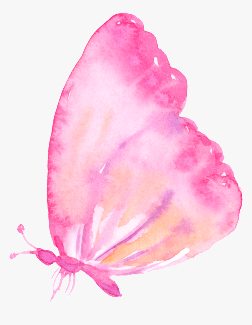 Pink Butterfly Cartoon Transparent Borboleta Png Fundo Transparente Png Download Kindpng - cute butterfly roblox shirt template