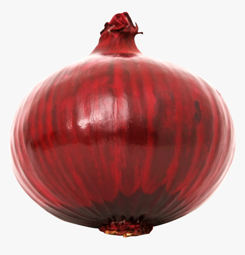 Red Onion Png Image - Red Onions Png Transparent, Png Download, Free Download