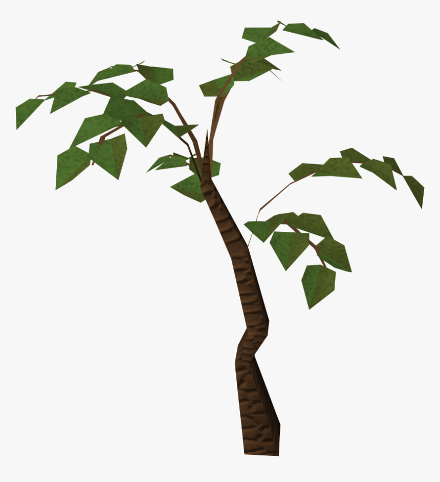 Jungle Tree Png Hd - Jungle Tree Clipart Transparent, Png Download, Free Download