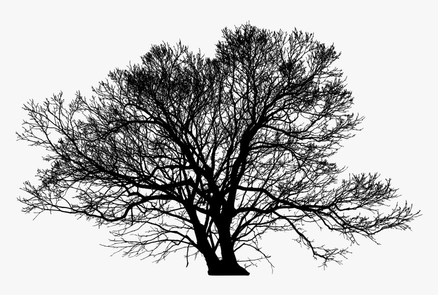 Leafless Winter Tree Silhouette Clip Arts - Winter Tree Silhouette Png, Transparent Png, Free Download