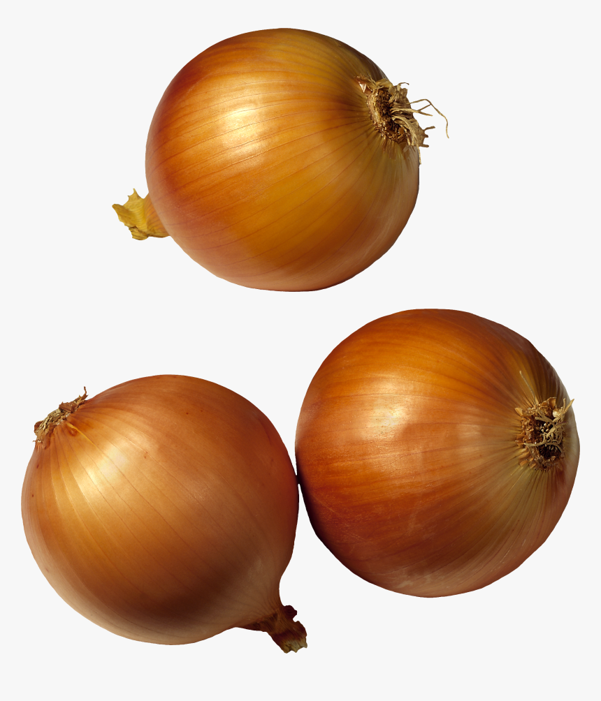 Onion Png Image, Transparent Png, Free Download