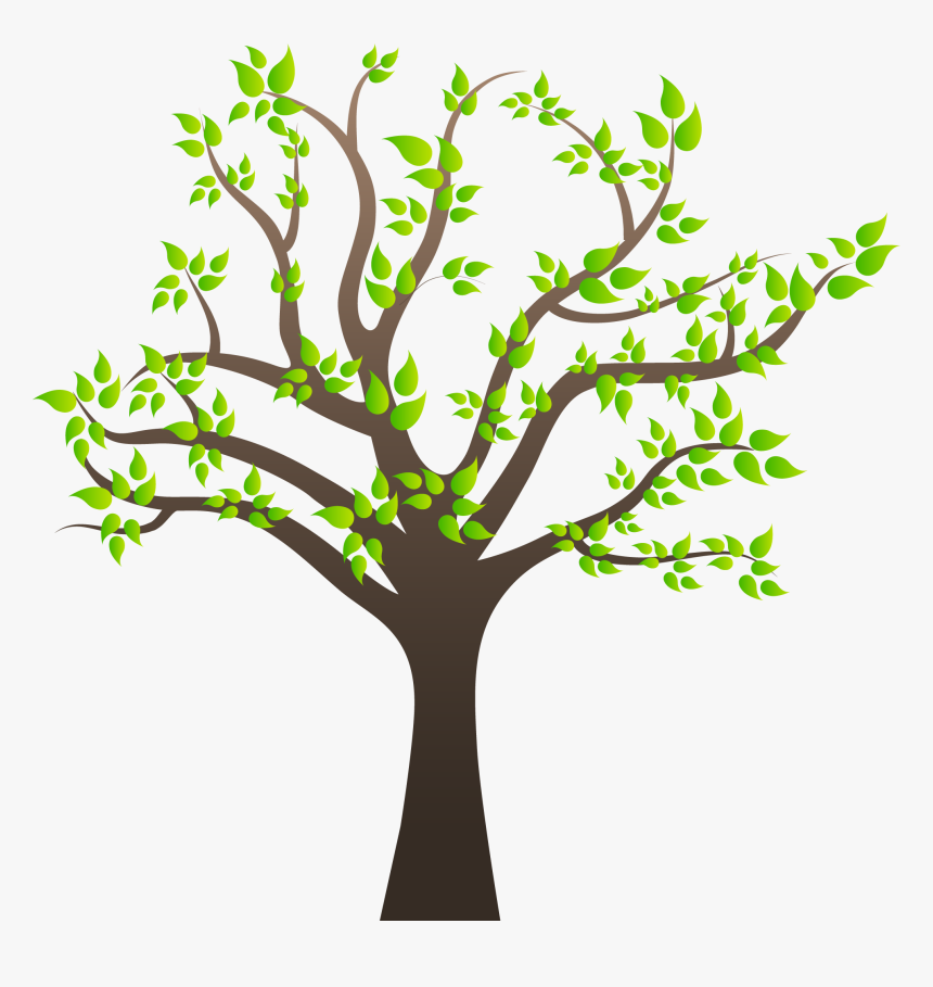 Real Tree Branch Png - Tree Branches Clipart Png, Transparent Png, Free Download
