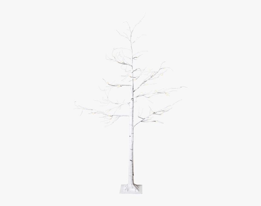 Decorative Tree Tobby Tree - Red Pine, HD Png Download, Free Download