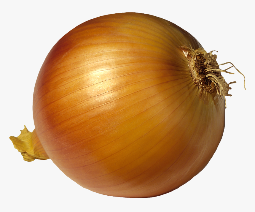 Onion Images Usseekm - Onions Transparent Background, HD Png Download, Free Download