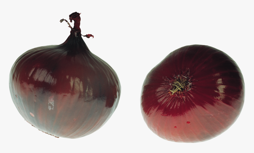 Onion Png Image - Onion, Transparent Png, Free Download