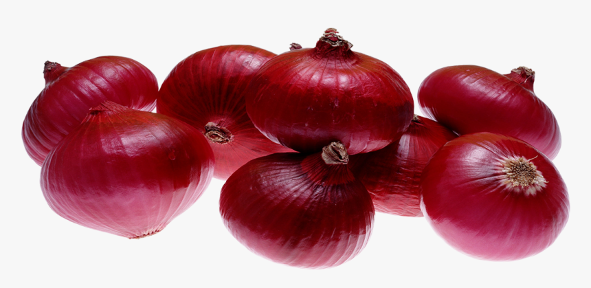 Onion Images Hd, HD Png Download, Free Download