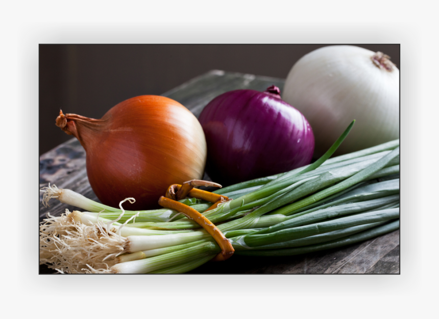 Raw Onions, HD Png Download, Free Download
