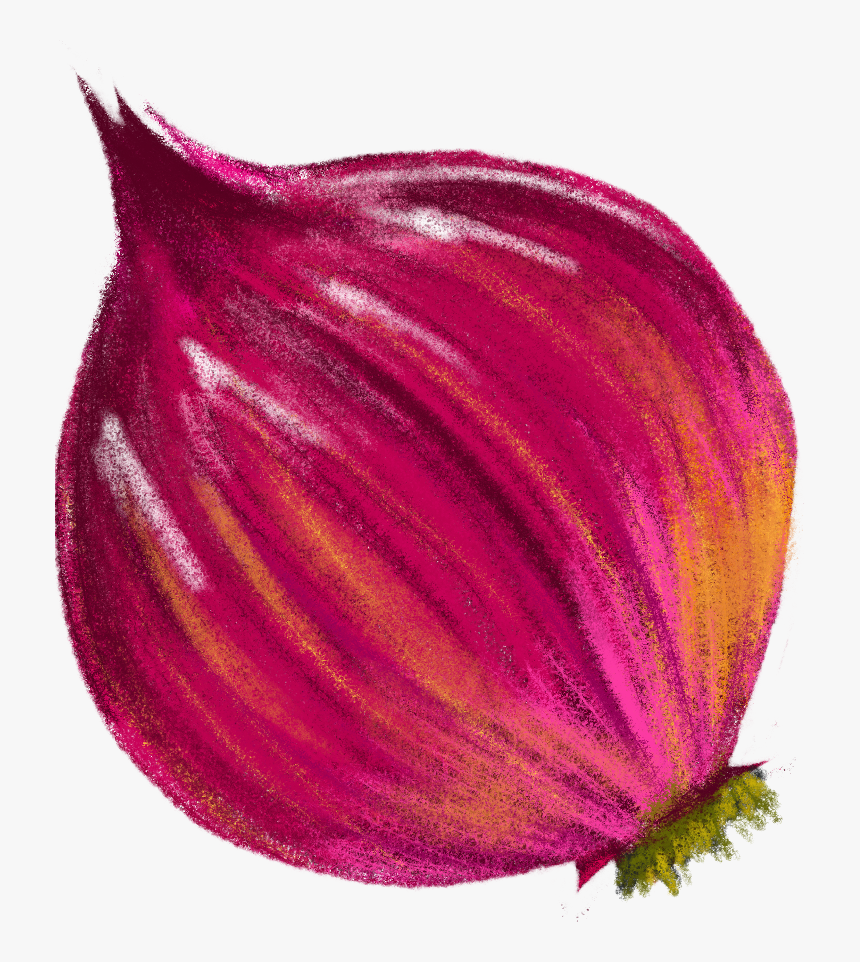 After Getting All The Graphic Elements Drawn And Approved, - Red Onions Animated Png, Transparent Png, Free Download