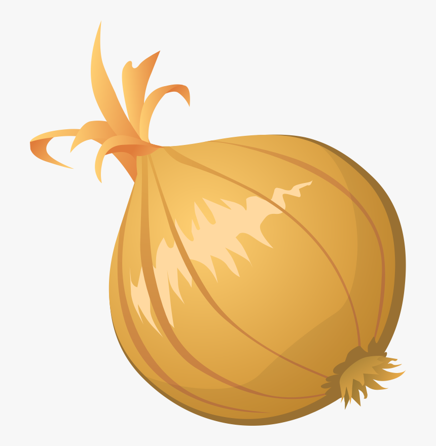 Onion Clipart - Onion Clip Art, HD Png Download, Free Download