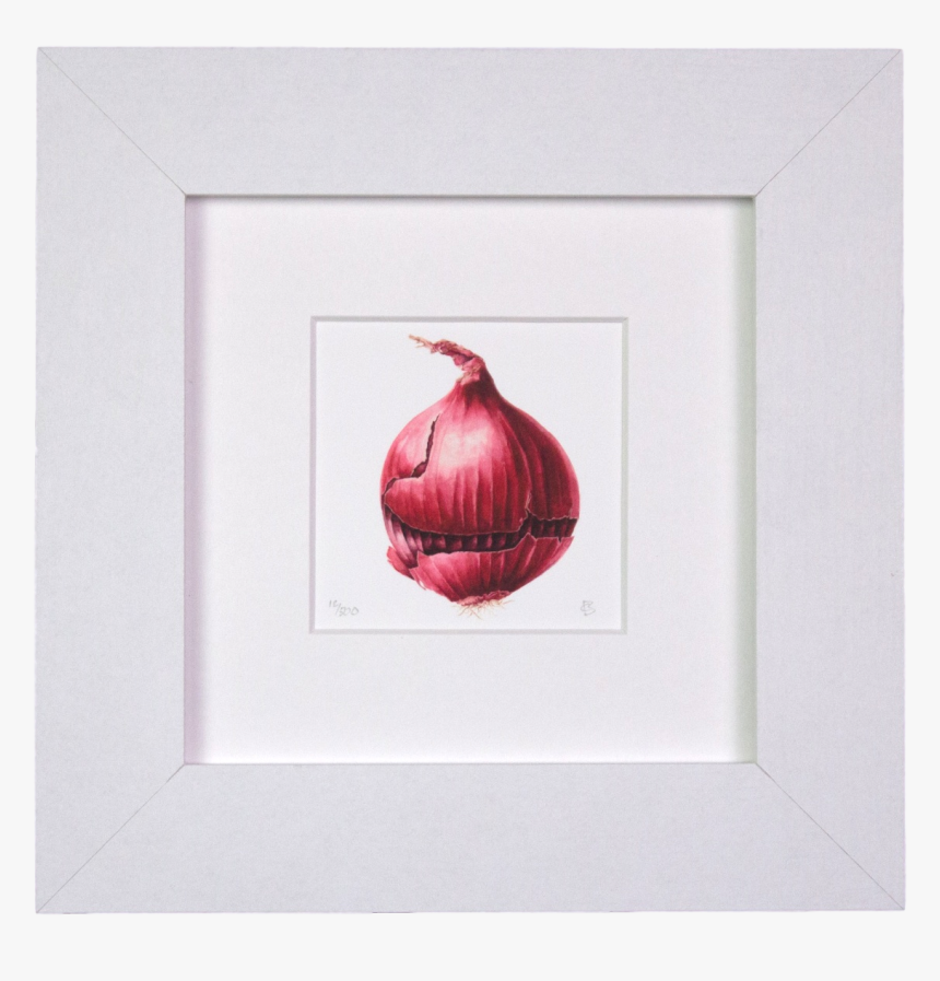 Red Onion Mini Print - Red Onion, HD Png Download, Free Download