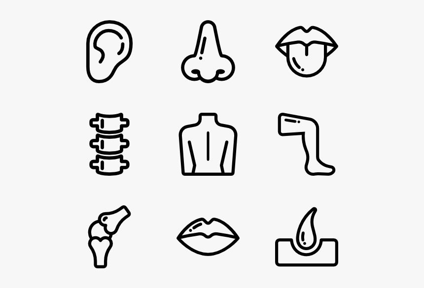 Pictures Of Body Parts Png - Parts Of The Body Outline, Transparent Png