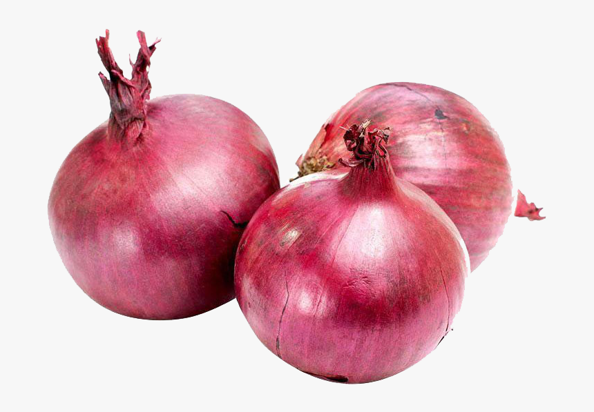 Onion Png Photo - Vegetables Onion, Transparent Png, Free Download