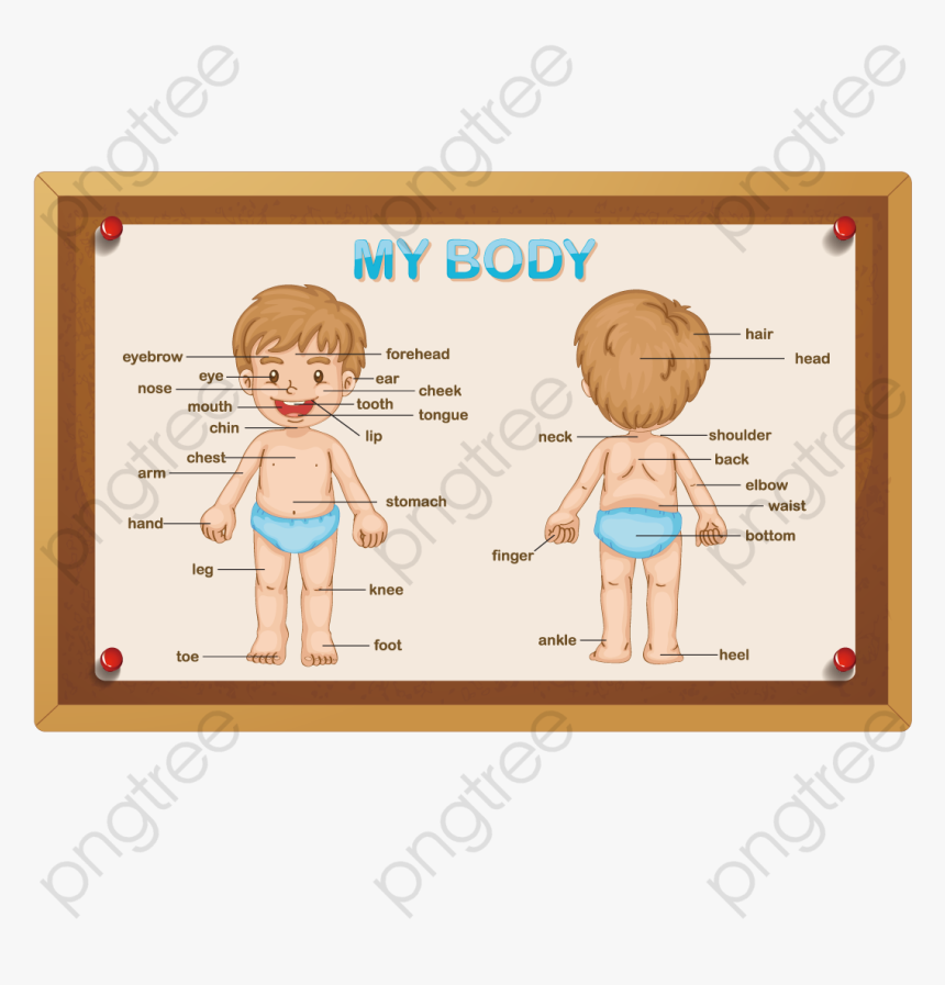 My Body Children, HD Png Download, Free Download