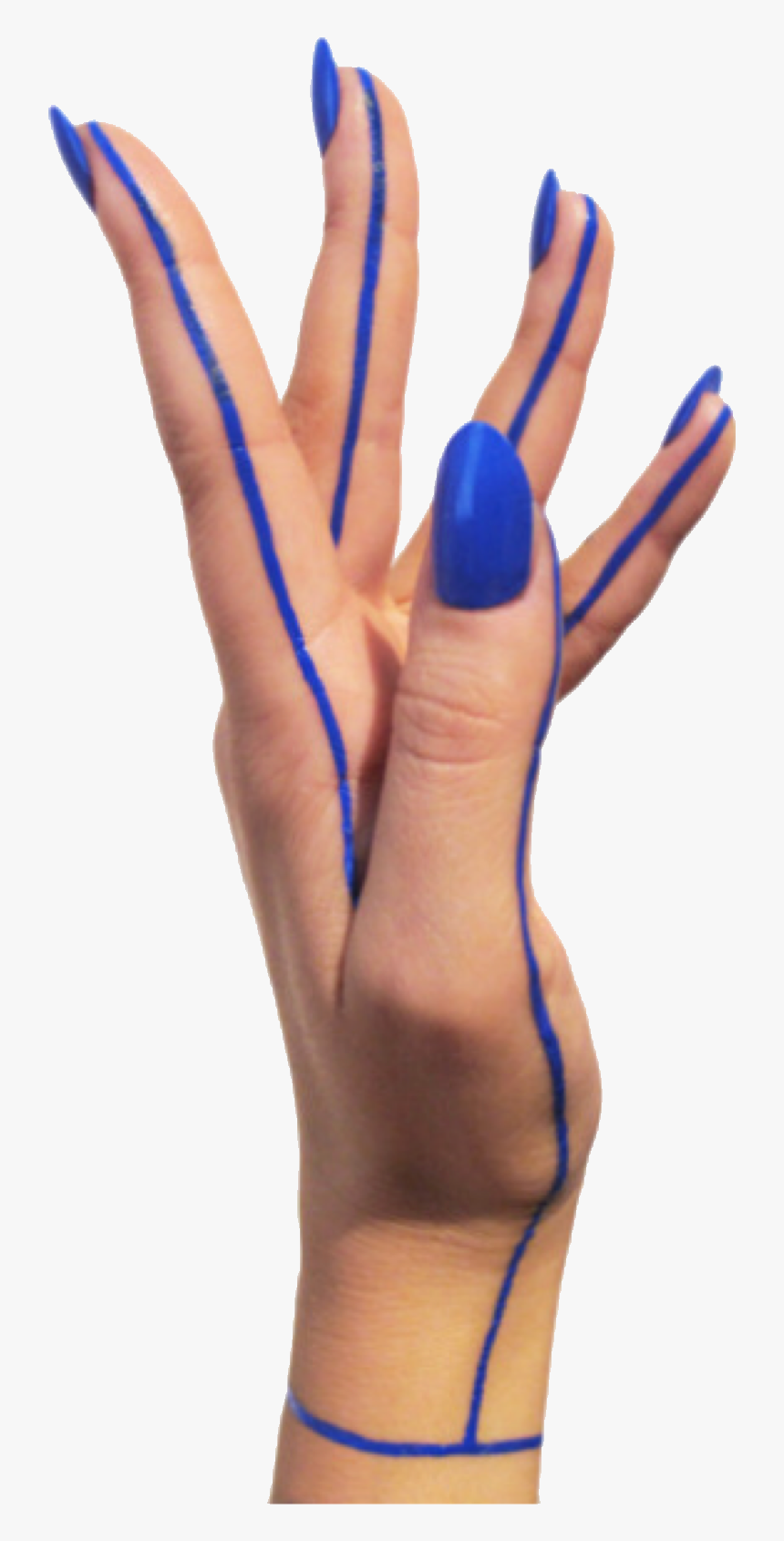 Hand Tumblr Png, Transparent Png, Free Download