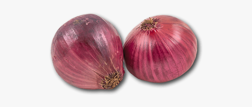 Red Onion, HD Png Download, Free Download