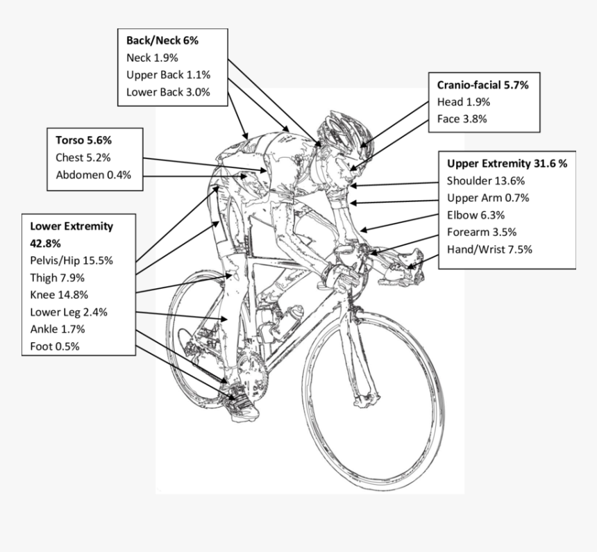 Schematic Drawing Of Reported Injured Body Parts - Hybrid Bicycle, HD Png Download, Free Download