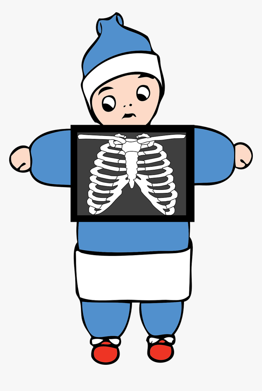 Learning About Body Parts Inside My Body - X Ray Vector Png, Transparent Png, Free Download