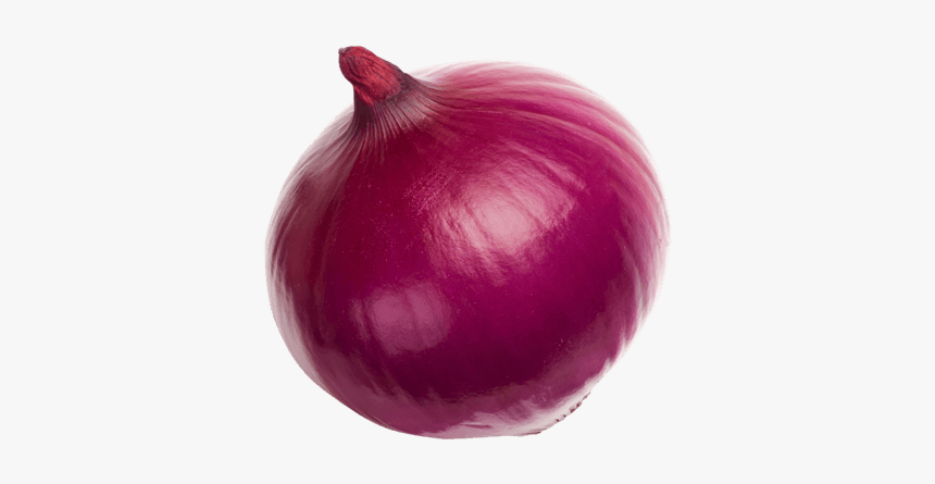 Red Onion, HD Png Download, Free Download