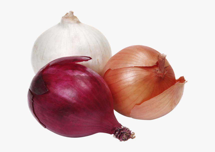 Onion Yellow And Red, HD Png Download, Free Download