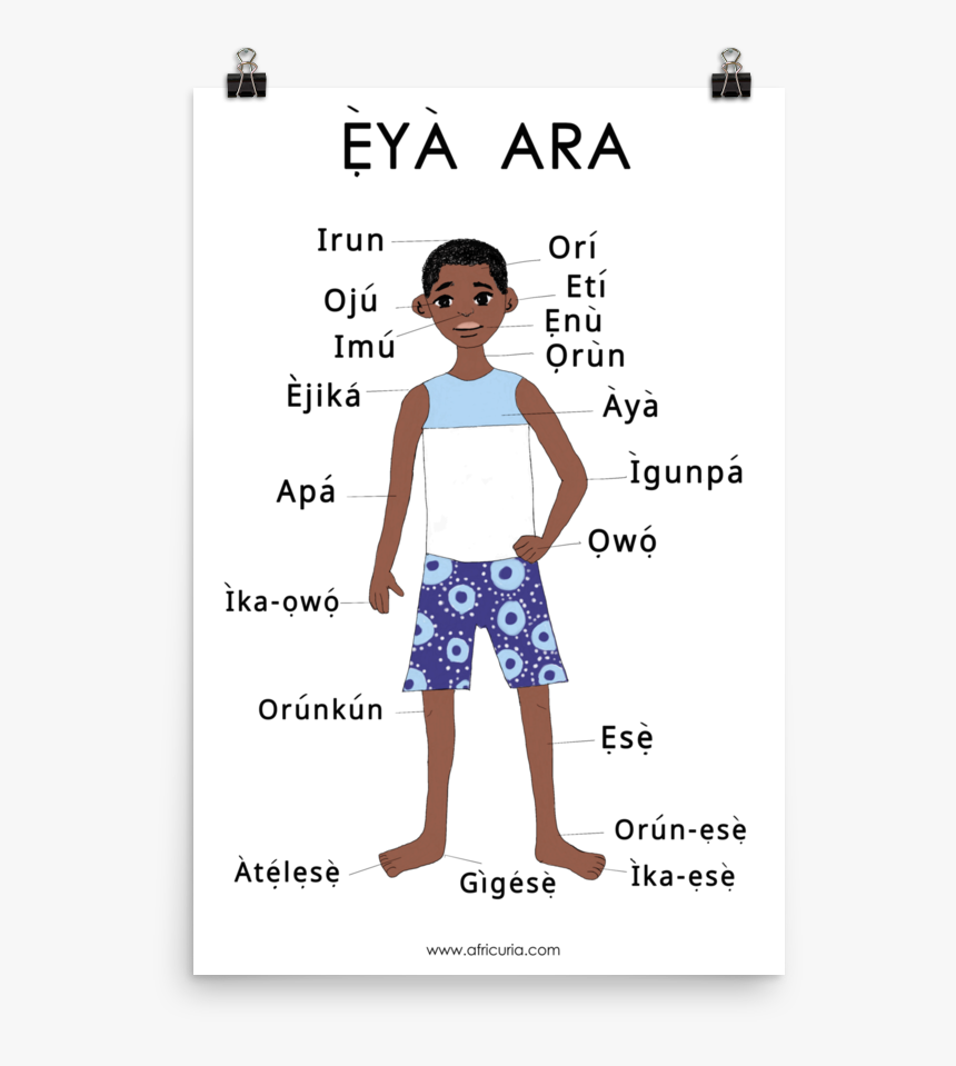 Parts Of The Body In Yoruba, HD Png Download, Free Download