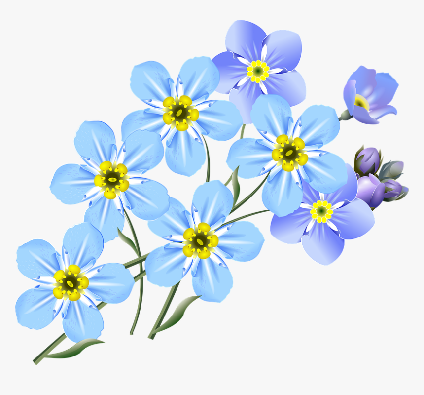 Drawing, Forget Me Nots, Blue, Flower, Small Flowers - Draw A Forget Me Not, HD Png Download, Free Download