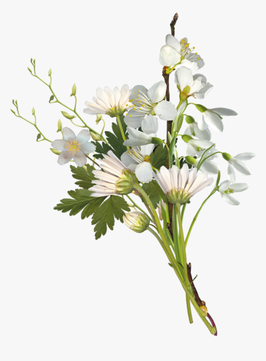 Transparent Small Flower Png - White Flower Bouquet Png, Png Download, Free Download