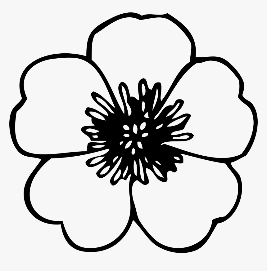 Small Flower Black - Line Drawing Of Flower, HD Png Download, Free Download