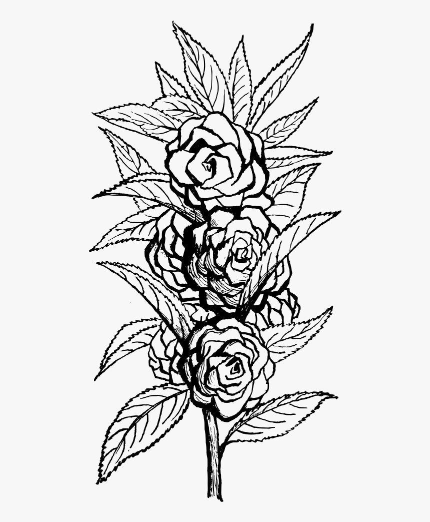 Clip Art Details - Black N White Florals, HD Png Download, Free Download