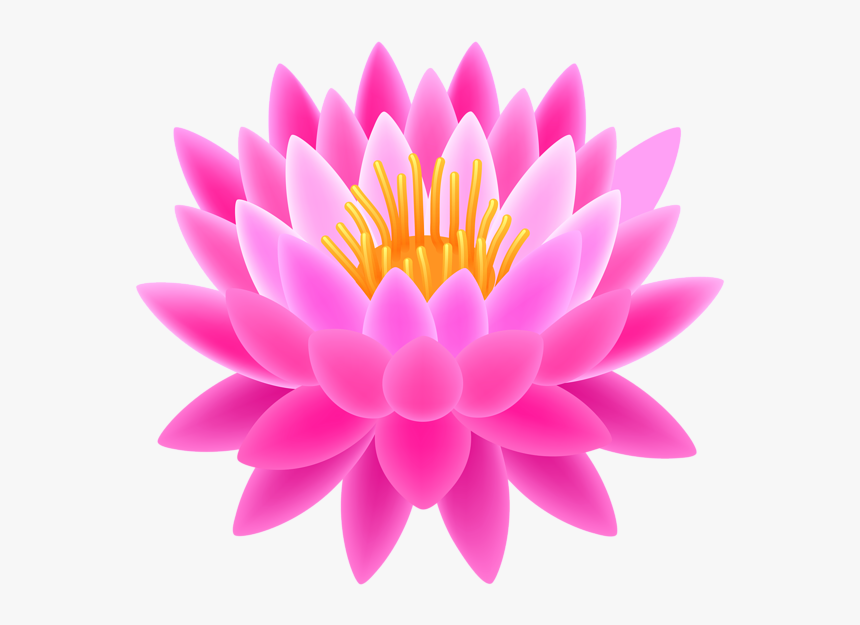 Transparent Background Lotus Clipart, HD Png Download, Free Download