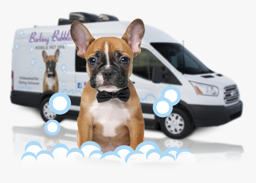 Mobile Pet Grooming Bath Bubbles - Mobile Pet Grooming Columbus Ohio, HD Png Download, Free Download