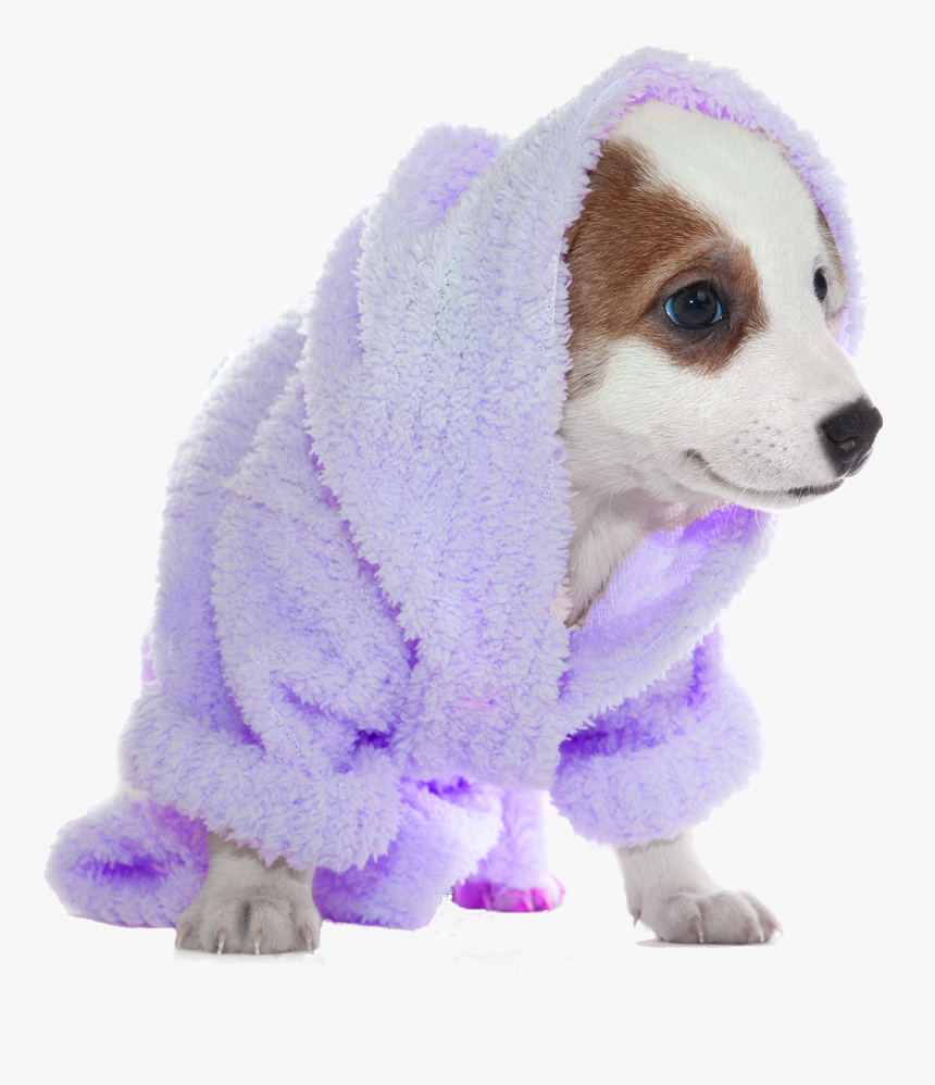The Paws Resort And Spa - Dog In Bath Png, Transparent Png, Free Download