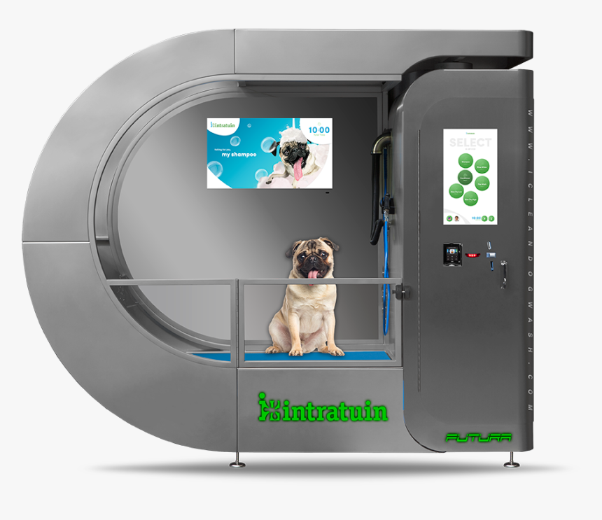 Clean Dog Wash, HD Png Download, Free Download