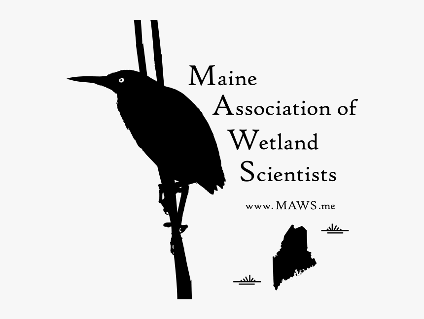 Maws Logo - Ciconiiformes, HD Png Download, Free Download