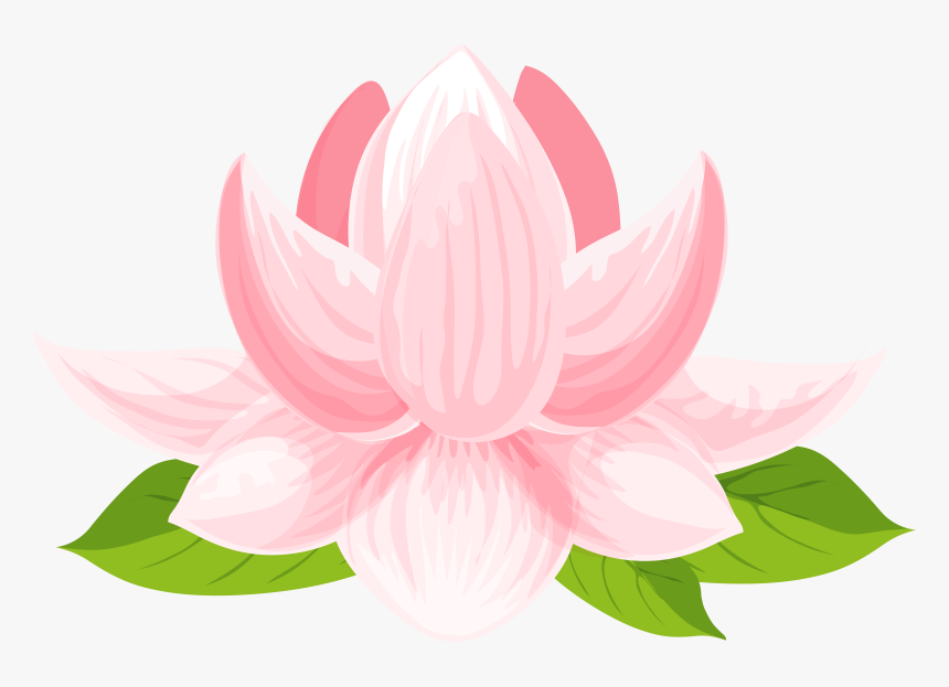 Transparent Lilypad Png - Transparent Background Lotus Flower Clipart, Png Download, Free Download