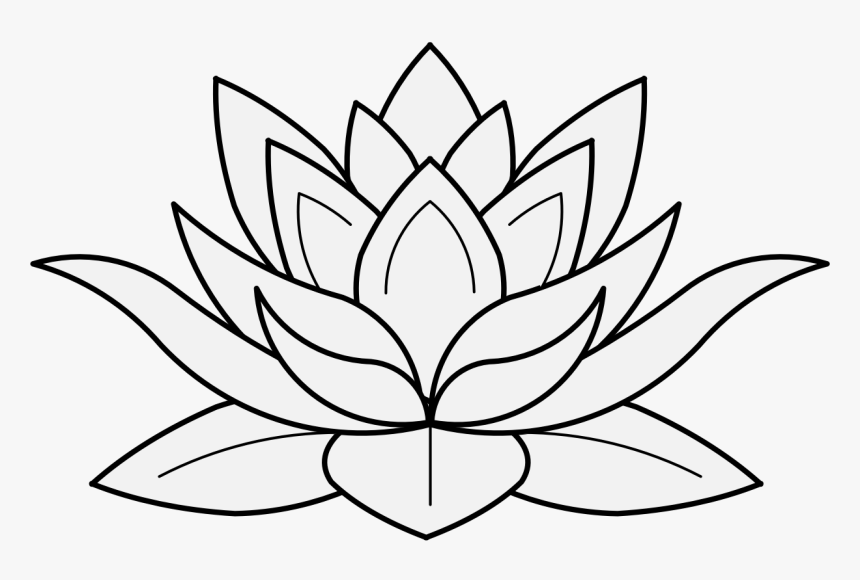 Lotus Flower Black And White, HD Png Download, Free Download