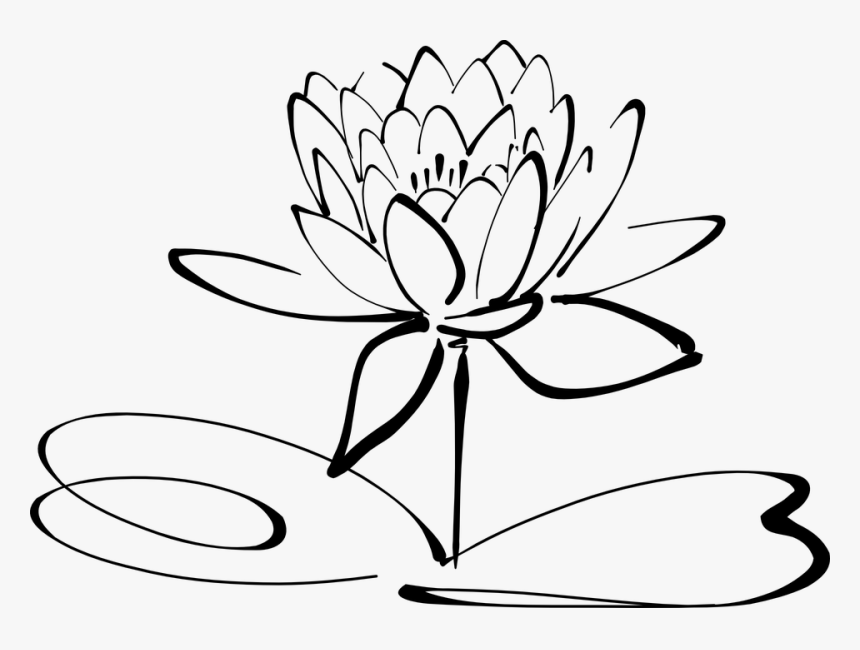 Lotus, Flower, Line Art, Blossom, Bloom, Petal - Lotus Flower Black And White Clipart, HD Png Download, Free Download